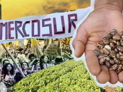 Brasil: Declaración de La Via Campesina Brasil sobre el Acuerdo UE-Mercosur