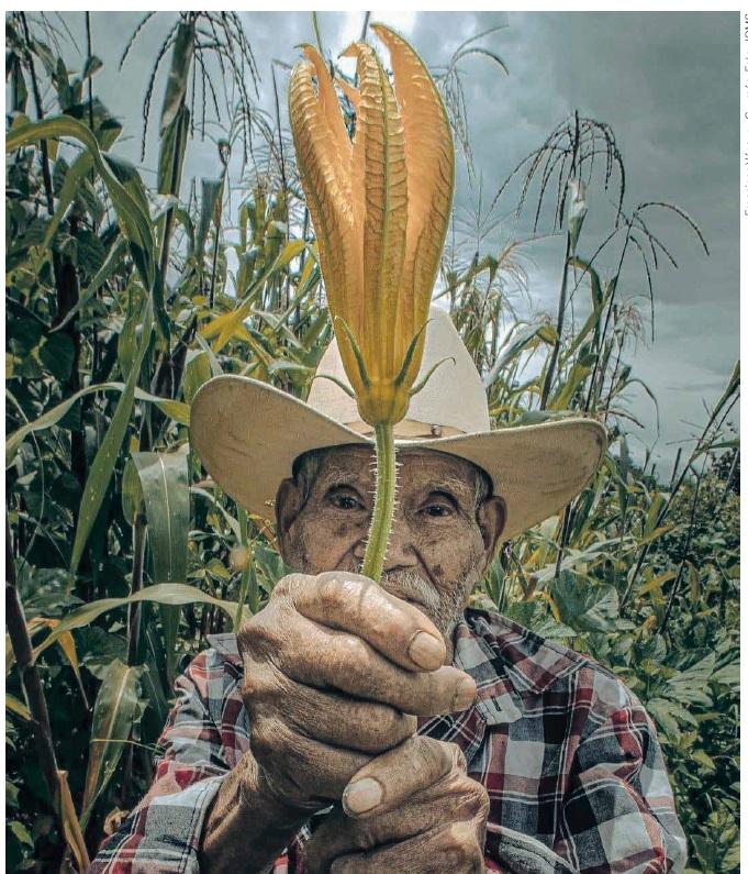 De un vistazo y muchas aristas 109 Biodiversidad en América Latina