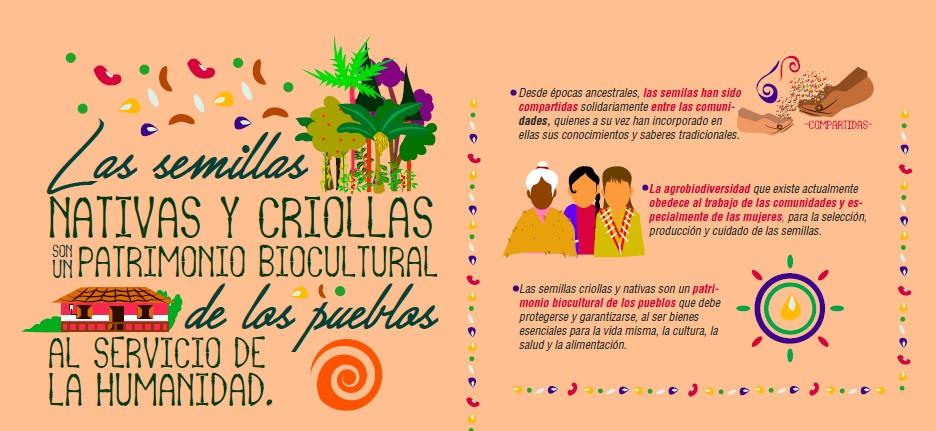 Infografía Las Semillas Nativas Y Criollas Son Un Patrimonio