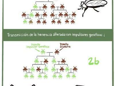 Evaluación de biotecnologías en comunidades campesinas e indígenas