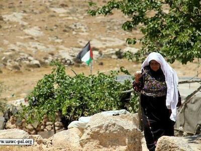 La Vía Campesina denuncia la confiscación de tierras por parte del estado de ocupación y apartheid israelí