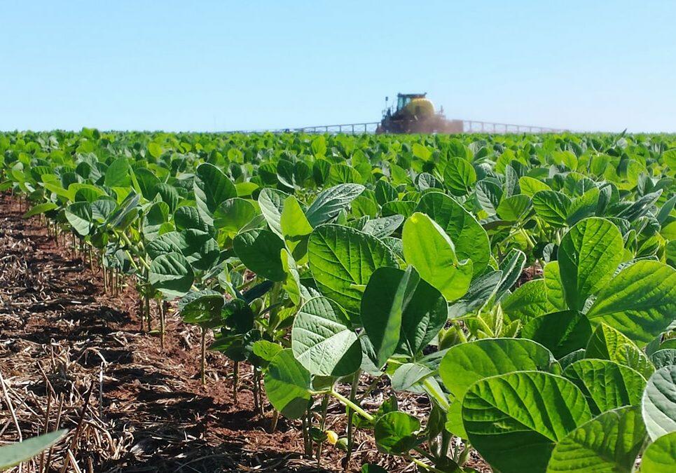 ¿a Quién Benefician Los Cultivos Transgénicos Biodiversidad En América Latinaemk 6723