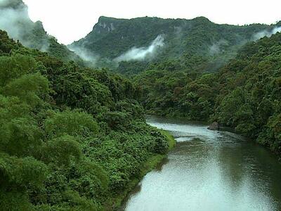 Comunidades indígenas buscan crear una reserva ante la desaparición del bosque de La Mosquitia