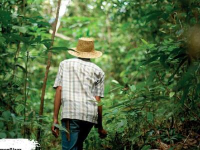 Derechos de los Pueblos Indígenas y comunidades locales para garantizar el bienestar de los bosques y la biodiversidad