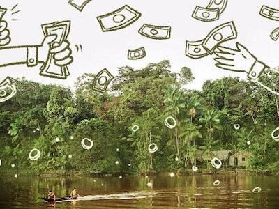 El financiamiento de REDD+ en la Amazonía: una mirada a la realidad reciente