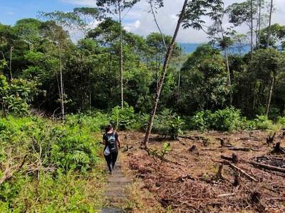 Vista aérea de la selva del Putumayo con evidentes parches de deforestación. Foto: Natalia Pedraza Bravo.