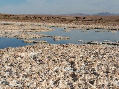 Los salares no son yacimientos, son ecosistemas