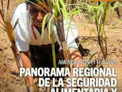 Panorama Regional de la Seguridad Alimentaria y la Nutrición