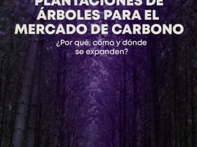 Plantaciones de árboles para el mercado de carbono: ¿por qué, cómo y dónde se expanden? 