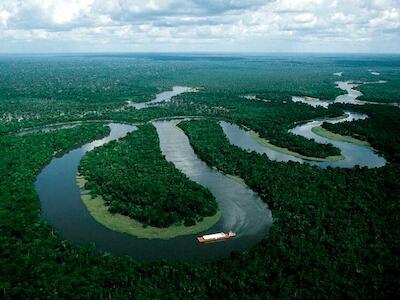 Quais as relações entre neoliberalismo, florestania e o agronegócio desenvolvido na Amazônia e no Acre