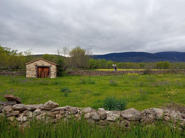 Qué Es Identidad, Qué Es Rural | Biodiversidad En América Latina