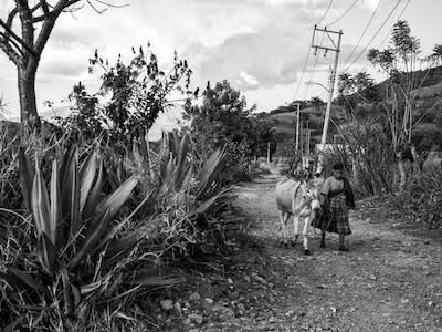 - De regreso a casa. Tlacochahuaya, Guerrero. Foto: Mario Olarte.