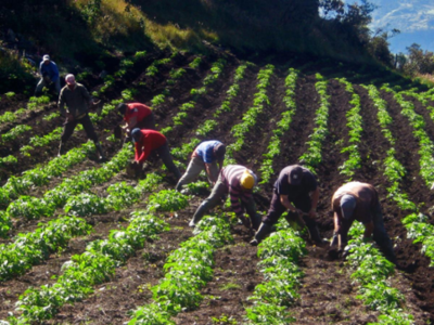 $45.000 millones para proyectos de inversión del campesinado