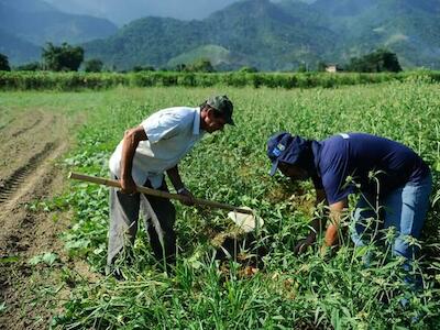 Agroecologia pode retardar efeitos da crise climática nas lavouras