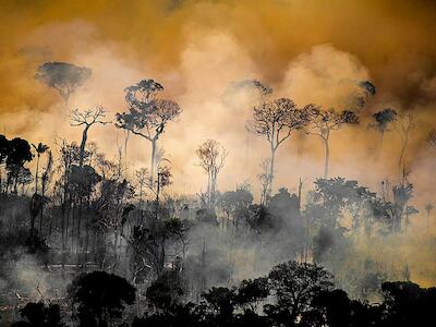 Brasil: Crisis Ambiental – ¿Cuánto tiempo hay que esperar para empezar a hacer cambios?