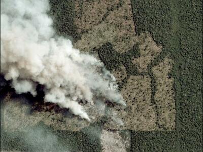 Brasil: Incendios equivalentes a 172 mil campos de fútbol se dieron por la deforestación