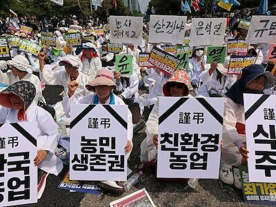 Campesinxs coreanxs protestan ante crisis climática, pérdidas de cosechas, aumento de los costos y las importaciones baratas que suponen una amenaz...