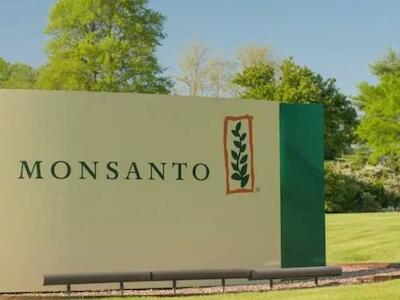 Cierre del caso Monsanto es un triunfo de México a favor de la vida, la salud y la soberanía alimentaria