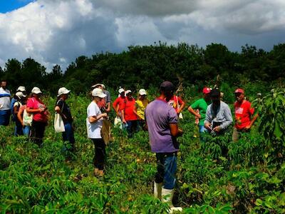 Conheça 5 experiências da Reforma Agrária na região de Bauru, SP