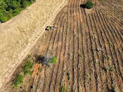 Conheça o programa agroecológico do MST que vem recuperando a bacia do rio Doce em MG