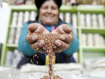 Este año la agricultura ha crecido de manera alentadora tras ser fuertemente golpeada en 2023, señala el IPE. (Foto: Andina)