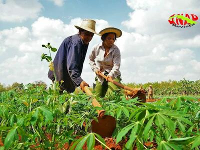 Cuba: A hombros de la previsión