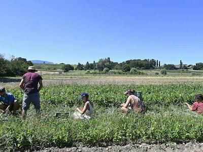 Europa: Con el fin del diálogo estratégico, ECVC exige medidas concretas sobre los precios, los ingresos de lxs campesinxs, el derecho a la tierra...