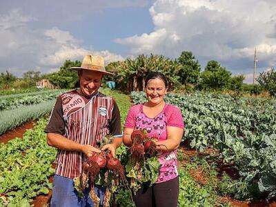 Governo Lula quer renegociar dívidas de agricultores familiares para que eles voltem a produzir alimentos - Foto: FLD/Divulgação