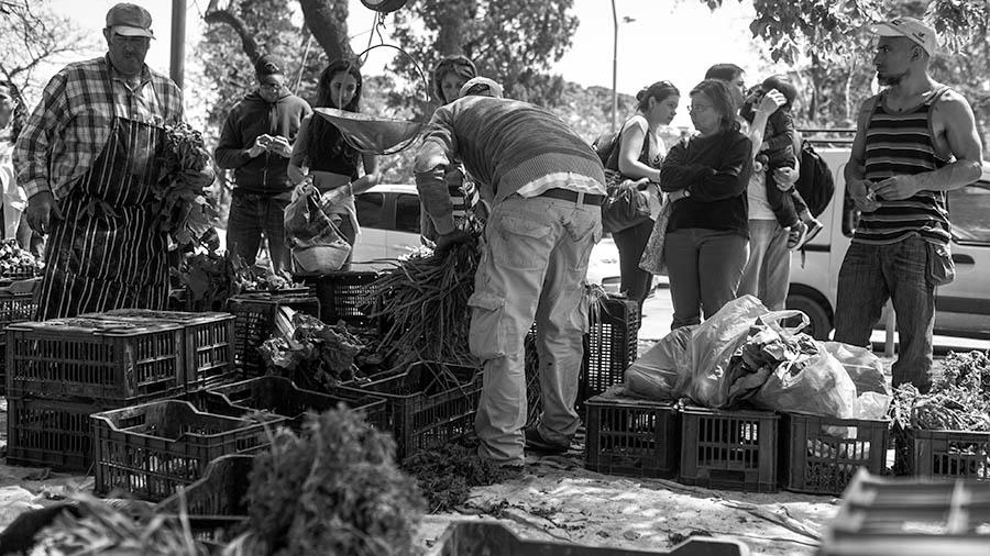 La ONU sobre Argentina: “El modelo de agricultura industrial ha socavado la  seguridad alimentaria de la población” | Biodiversidad en América Latina