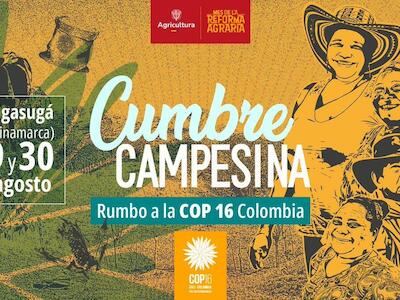 La Vía Campesina participa en la Cumbre Campesina rumbo a la COP16 Colombia