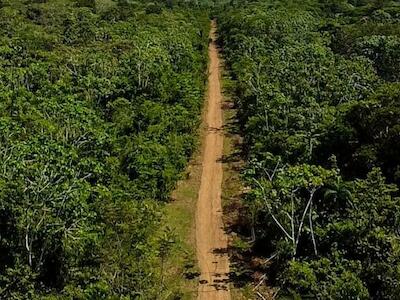 Imagen principal: Una pista de aterrizaje en la Amazonía peruana. Foto: Mongabay Latam.