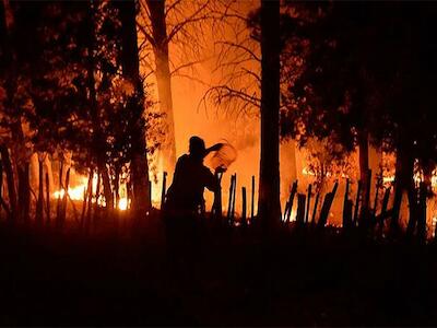 Odio, pinos y racismo en esta tierra incendiada