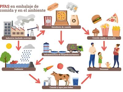 Fuente: IPEN 2023. Forever chemicals in single use packaging and tableware from 17 countries. https://ipen.org/sites/default/files/documents/ipen-packaging-report-fin-opr-25012024.pdf