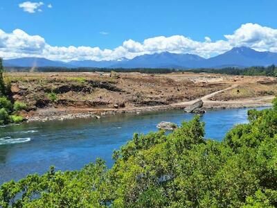 - Registro de tala de vegetación por obras de Central Rucalhue | Fotografía compartida a Resumen.cl