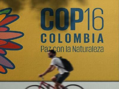 SERIE COP16. Marco Mundial de Biodiversidad: una oportunidad para el mundo empresarial