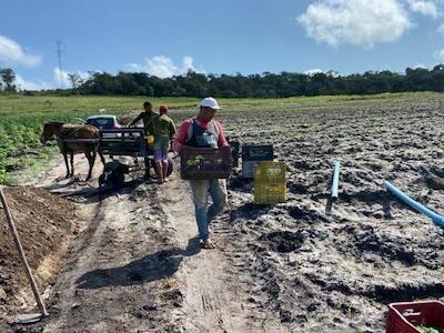 Símbolo de resistência se converte em imissão de posse para camponeses do MST no estado de Pernambuco