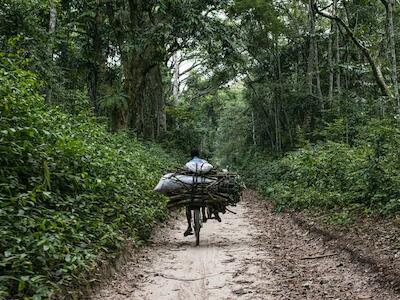 - Camino de Kisangani a la aldea de Masako. República Democrática del Congo. Foto de Olivier Girard/CIFOR