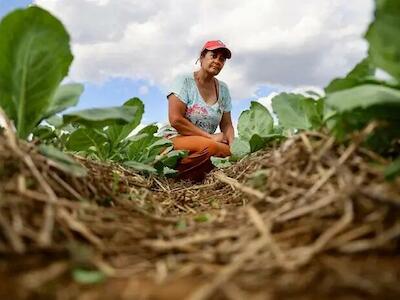 CPT Nordeste 2 divulga balanço da questão agrária no Brasil em 2024