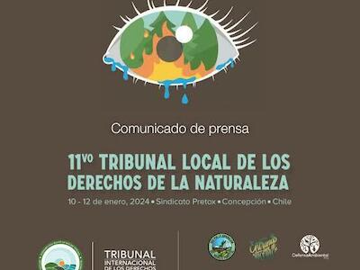 El Tribunal Internacional de los Derechos de la Naturaleza declara al modelo forestal chileno culpable de violar los Derechos de la Naturaleza y lo...