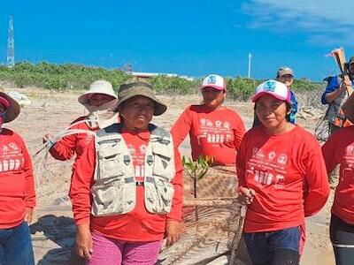 Las Chelemeras: el grupo de amas de casa que salvó los manglares de la costa norte de Yucatán